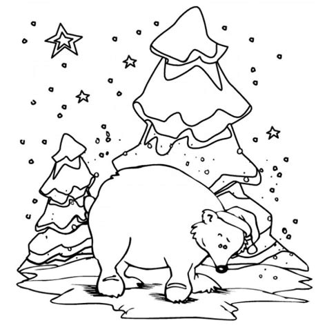 polar bear coloring pages polar bear coloring pages printable kids