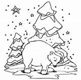 Polar Bear Coloring Pages Printable Cola Coca Print Express Christmas Color Sheet Getcolorings Getdrawings Cub Colorings Wanted sketch template