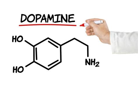 how to actually increase dopamine levels guide to