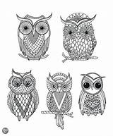 Coloring Adult Volwassenen Kleuren Owl Google Voor Bol Pages Patterns Mindful Drawing Para Ca Bezoeken Boeken Books sketch template