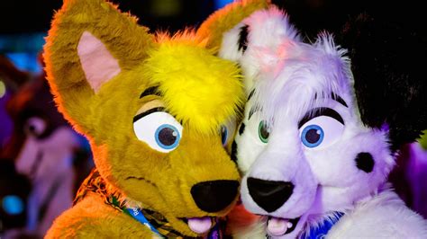 furry dating site shuts down because of fosta motherboard