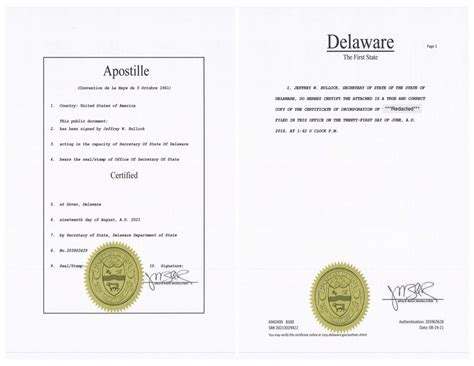 delaware company documents