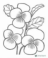 Coloring Flowers Flower Pages Printable Kids sketch template