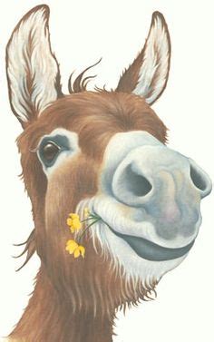 great illustration   donkeys head perfect  anytime