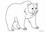 Bear Coloring Pages Brown Printable sketch template