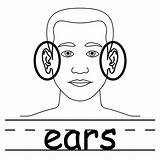 Clip Ears Coloring Body Clipart Ear Two Pages Parts Outline Elf Part Corn Diagram Cliparts Template Neck Color Listening Printable sketch template