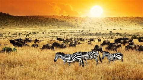 turismo en kenia historia consejos  viajes aventura africa