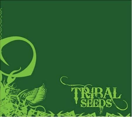 tribal seeds  tribal seeds amazoncom