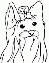Jojo Kolorowanki Druku Siwa Yorki Cachorro Perros Dzieci Colorir Desenhos Yorkie Kolorowanka Psy Teacup Piesek Wydruku Kot Malowanki Rysunek Perro sketch template