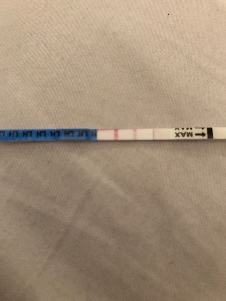 Is This A Positive Ovulation Test Help Please — Madeformums Forum