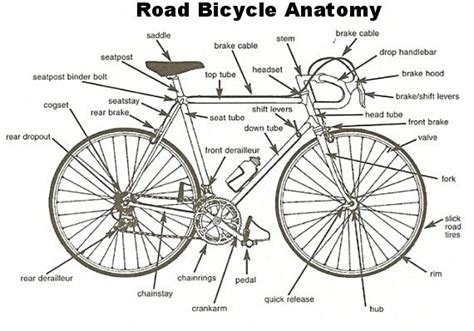 road bike anatomy bicycle bicycle parts bike seat