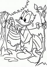 Donald Duck Coloring Pages Popular sketch template