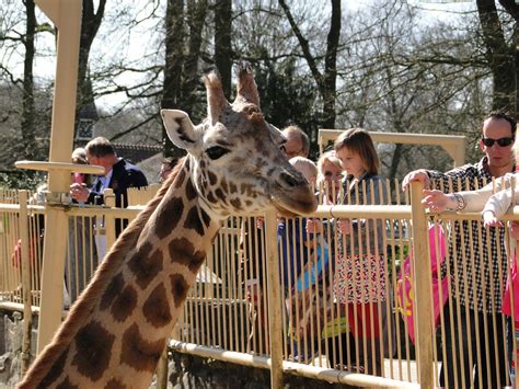 syls blog zoo res  de dierentuin
