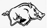 Razorback Arkansas Razorbacks Hog Coloring Clip Pages Kindpng sketch template