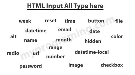 html input tag myprograming