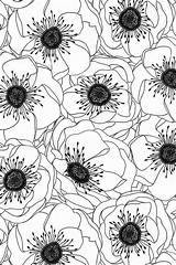 Spoonflower Anemone Anemones sketch template