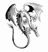 Dragon Cool Coloring Pages Dragons Drawing Awesome Drawings Flying Color Water Draw Printable Chinese Illustration Real Spy Getdrawings Print Getcolorings sketch template