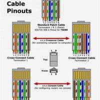 ethernet cable wiring diagram cat  wiring diagram  schematic role
