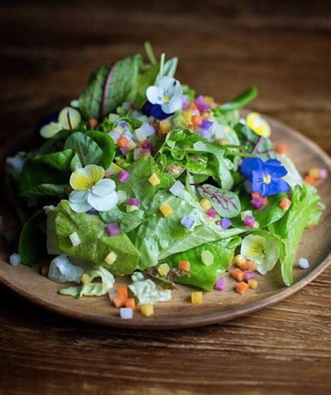 psyched  spring    stunning pics  edible flower dishes