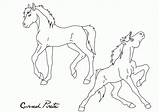 Foal Coloring Spirit Pages Lineart Abosz007 Foals Dreamworks Deviantart Comments Coloringhome Template sketch template