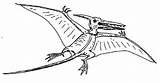 Pteranodon Coloring Sun sketch template