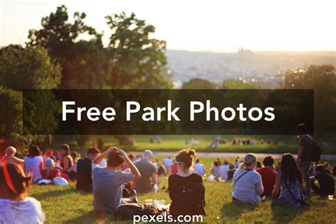 park  pexels  stock