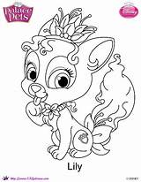 Coloring Pets Palace Pages Princess Disney Lily Kids Printable Drawing Printables Skgaleana Shimmer Shine Cute Colouring Rapunzel Fun Print Animal sketch template