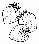 Strawberry Coloring Strawberries Pages Fruits Drawing Little Three Fruit sketch template