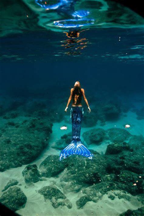 725 Best Images About Tails Mermaid Tails On Pinterest A Mermaid