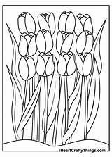 Tulip Tulips Iheartcraftythings sketch template