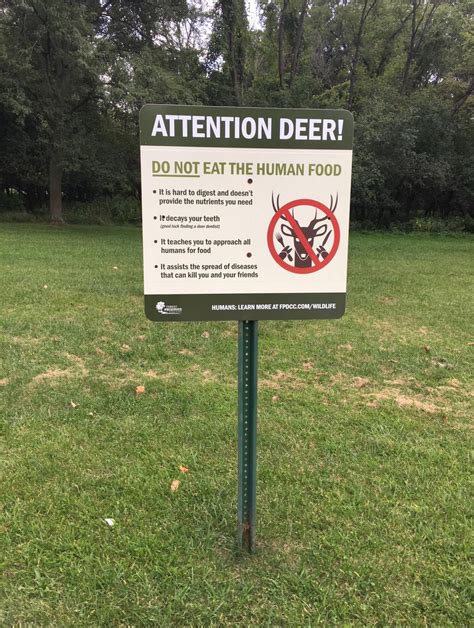 sign  written  deer rmildlyinteresting
