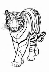 Ausmalen Tigers Zoo Kinderbilder Geometrische Kostenlose Tieren Ganzes Schablonen sketch template