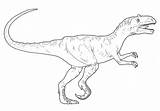 Allosaurus Dinosaur Colouring Dinosaurios Uteer sketch template