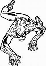 Spiderman Spider Ausmalbilder Ausdrucken Ausmalen Spidey Malvorlagen Climb Coloriage sketch template