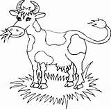 Vache Vaches Coloriages Kolorowanki Krowy Kolorowanka Colorear Pré Vaca Krowa Druku Humoristique Megghy Drukuj sketch template