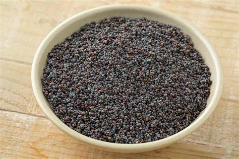 poppy seeds nutrition facts benefits  downsides nutrition advance