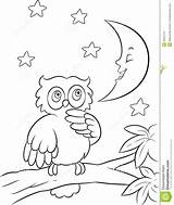 Coloring Pages Night Owl Printable Color Designlooter Branch Mushroom House Illustration Drawings Tree Getcolorings 1098 72kb 1300px Forest sketch template