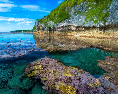 niue island travelco  zealand