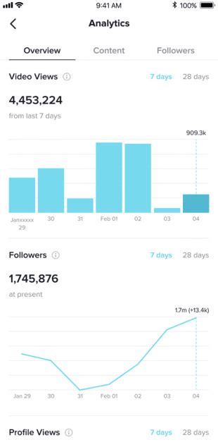 The Complete Guide To Tiktok Analytics How To Measure Your Success