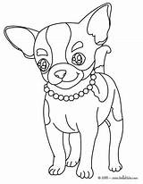 Chihuahua Coloring Pages Dog Color Chiwawa Print Para Hellokids Printable sketch template