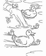Pond Coloring Duck Swimming Baby Animal Ducks Farm Pages Drawing Color Animals Drawings Kids Sheets Print Printable Netart Getdrawings sketch template