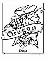 Flower Coloring State Oregon Pages Printables sketch template