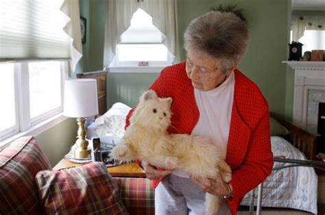 scientists hope ai enhanced ‘robo cats will help the elderly