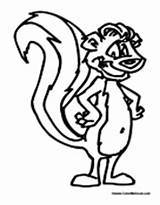 Skunk Cartoon sketch template