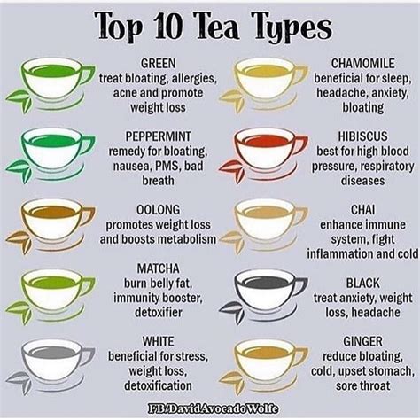 these teas are a good beginners guide but there are thousands of herbs
