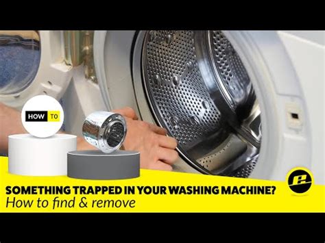 clean  washing machine drum alvin blogs