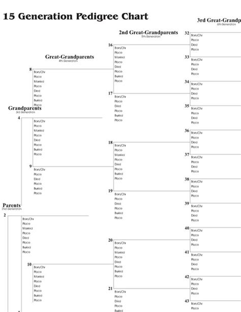 family pedigree chart