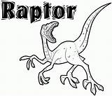 Coloring Velociraptor Pages Raptor Dinosaur Kids Print Printable Colouring Dinosaurs Sheets Popular Tsgos Animal sketch template