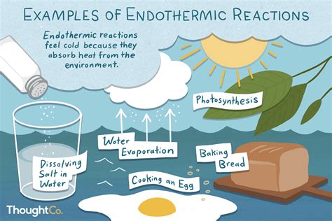 exothermic  endothermic reactions give examples cbse class notes