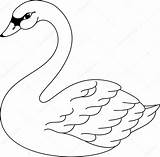 Swan Coloring Pages Printable Drawing Stock Bird Vector Illustration Lake Outline Colouring Template Color Patterns Google Crafts Easy Pattern Depositphotos sketch template